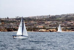 Whale and Dolphin Watching - Beaches